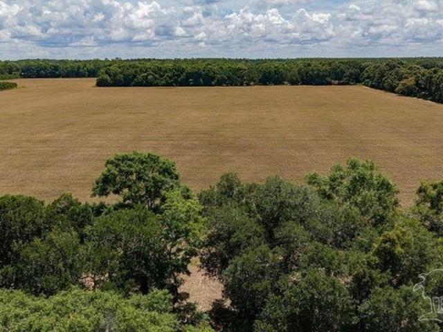 Land for sale in Pace, Florida
