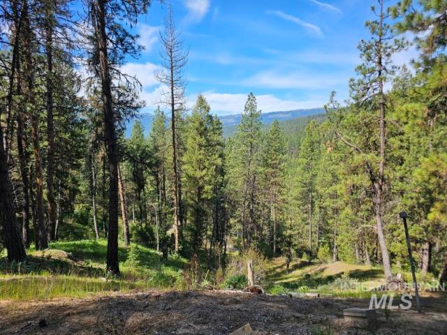 Land for sale in Idaho