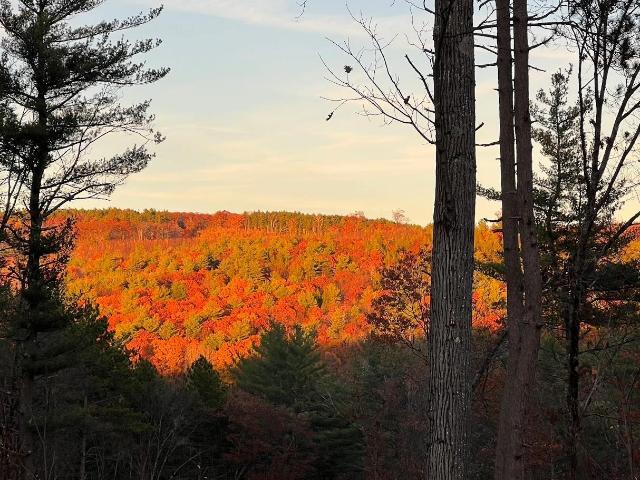 Property for sale in New Hampshire