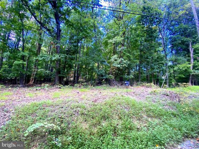 Land for sale in Virginia