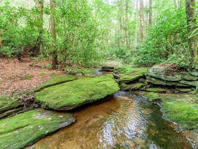 Land for sale in Watauga, North Carolina