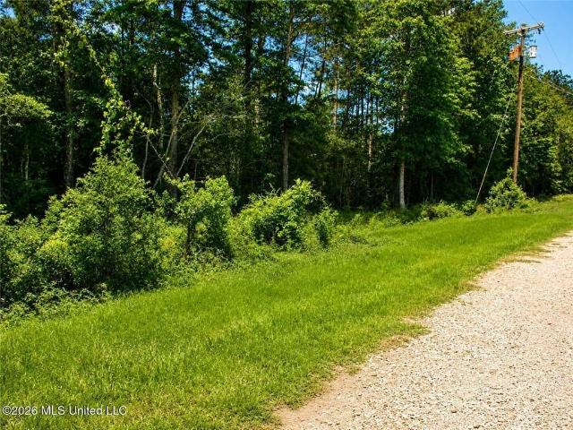 Land for sale in Franklinton, Louisiana