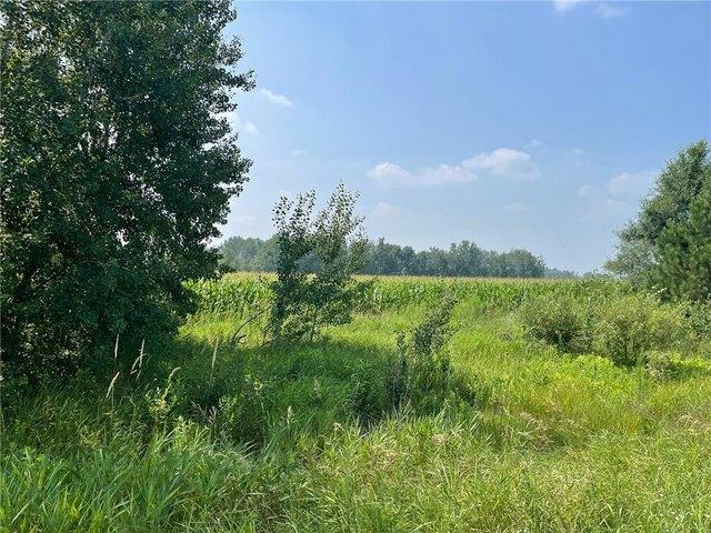 Land for sale in Princeton, Minnesota