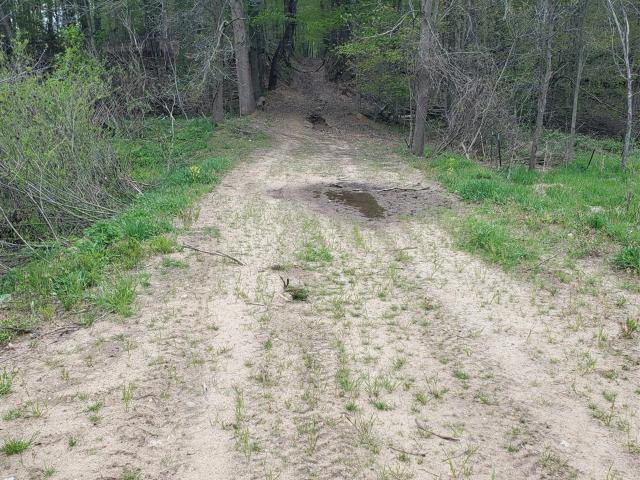 Land for sale in Watson, Michigan