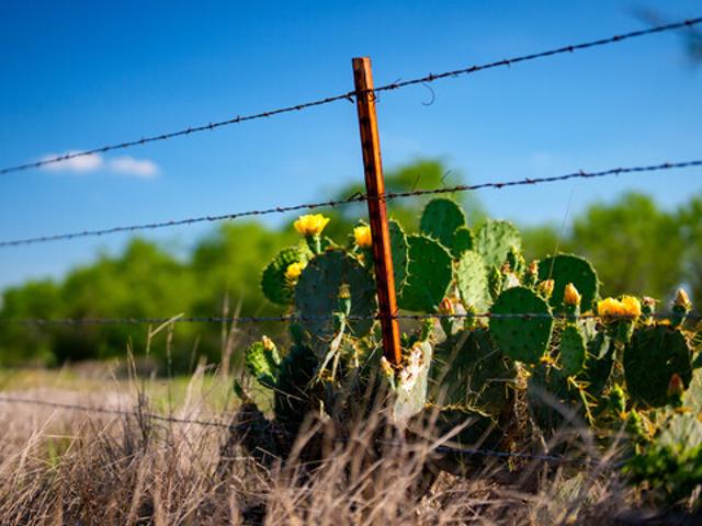 Farm for sale in Campbellton, Texas