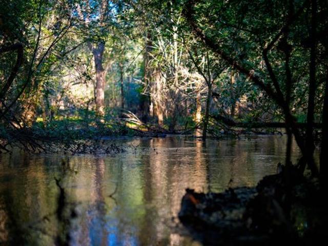 Farm for sale in Campbellton, Texas