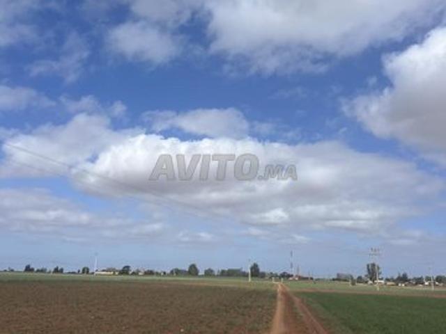 Propriété vente à El Ma, Gharb-Chrarda-Beni Hssen