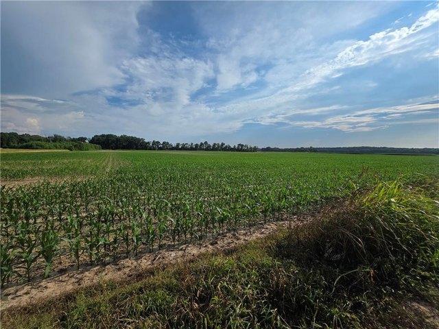 Land for sale in Shelbyville, Illinois