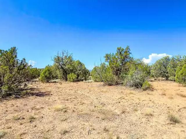 House for sale in Chino Valley House for sale in Chino Valley