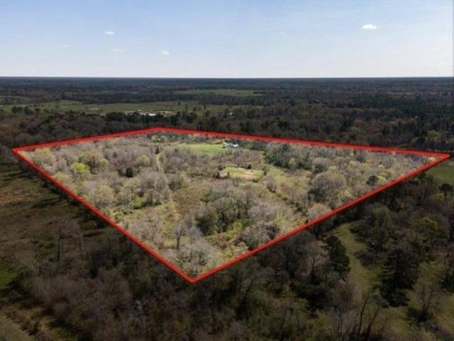 Land for sale in Panola, Texas