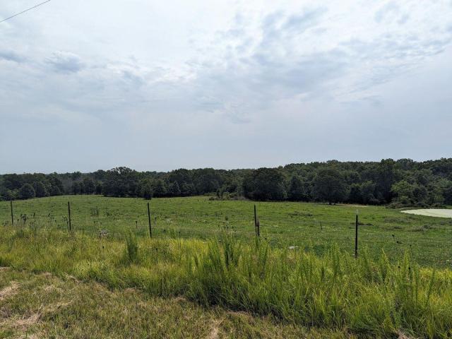 Land for sale in Diggins, Missouri