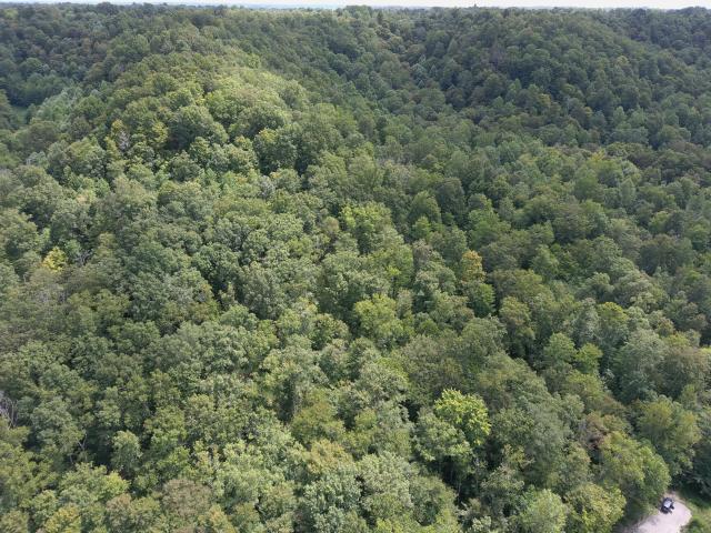 Land for sale in Lebanon, Kentucky