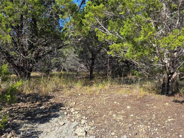 Land for sale in Texas