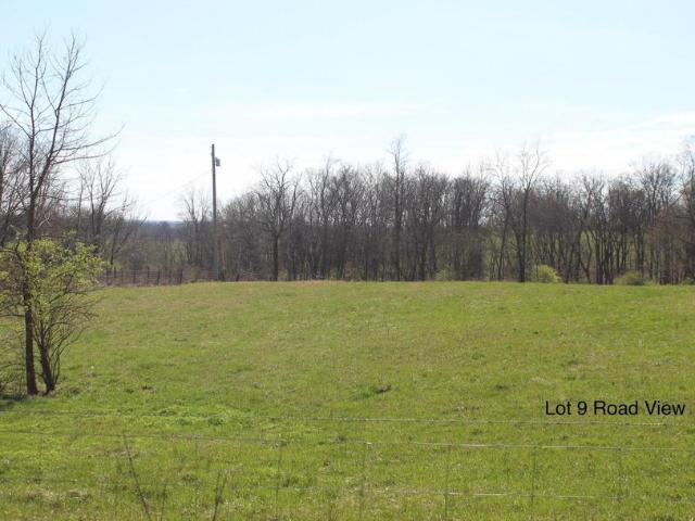 Land for sale in Cynthiana, Kentucky