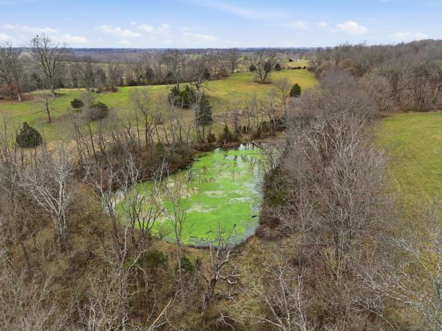 Land for sale in Cynthiana, Kentucky
