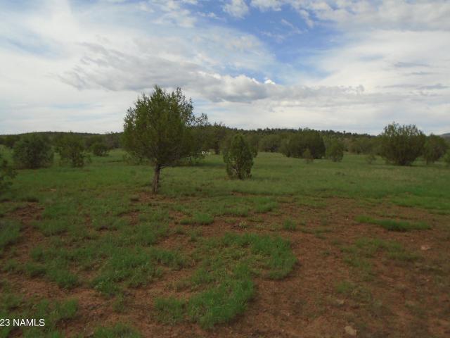 Land for sale in Ash Fork, Arizona