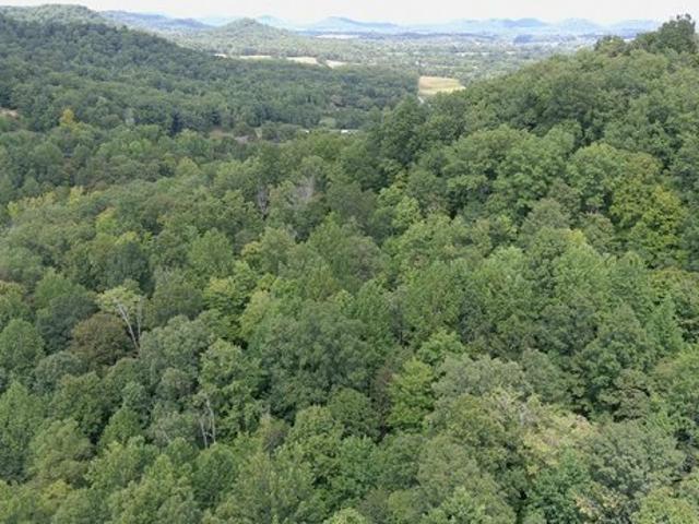 Land for sale in Lebanon, Kentucky