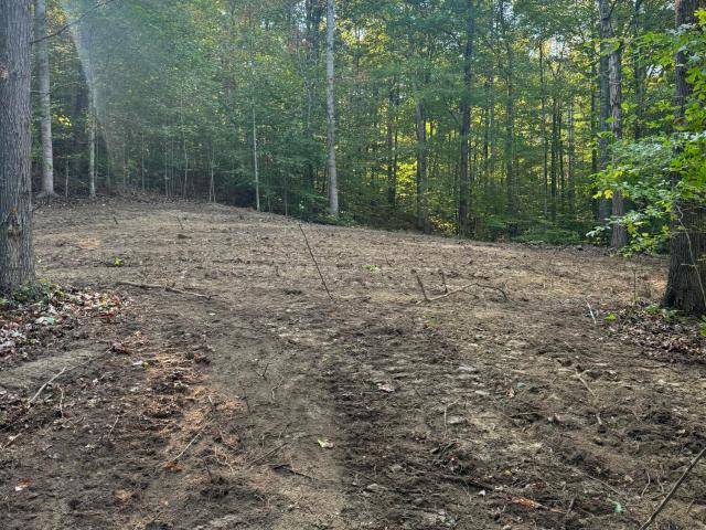 Land for sale in Lebanon, Kentucky