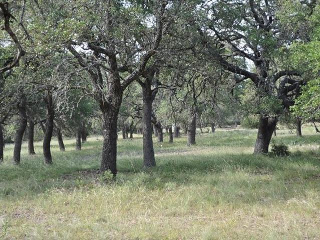 Farm for sale in Doss, Texas