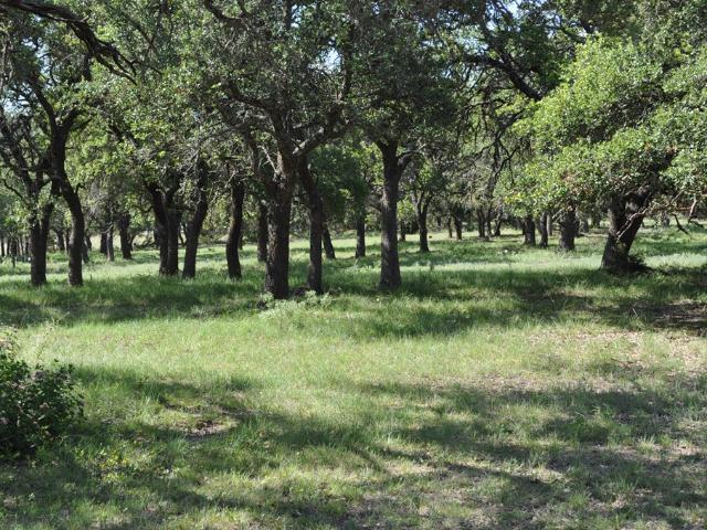 Land for sale in Doss, Texas