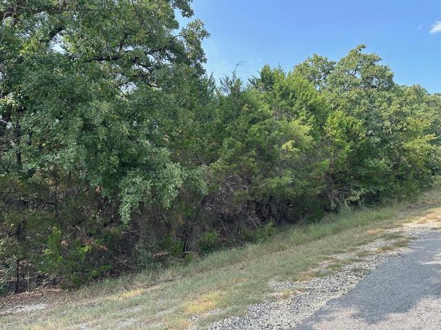 Land for sale in Whitney, Texas