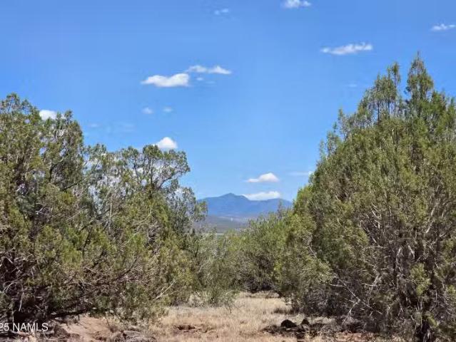 House for sale in Flagstaff