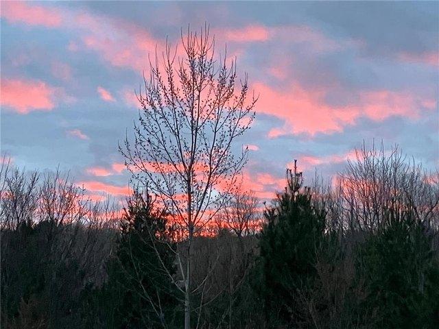 Land for sale in Steele, Minnesota