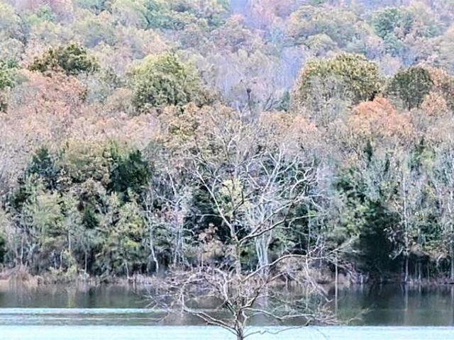 Land for sale in Horseshoe Bend