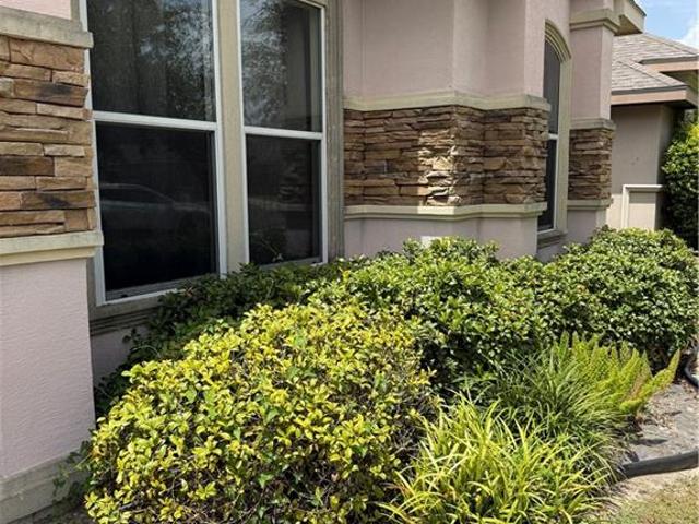 Property for rent in Hidalgo, Texas