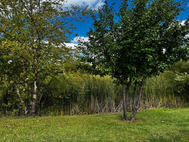 House for sale in Eastland Estates, Buffalo
