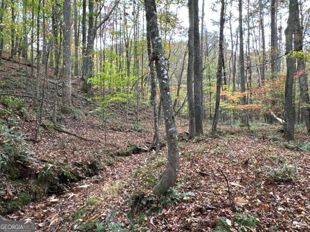Land for sale in Rockmart, Georgia