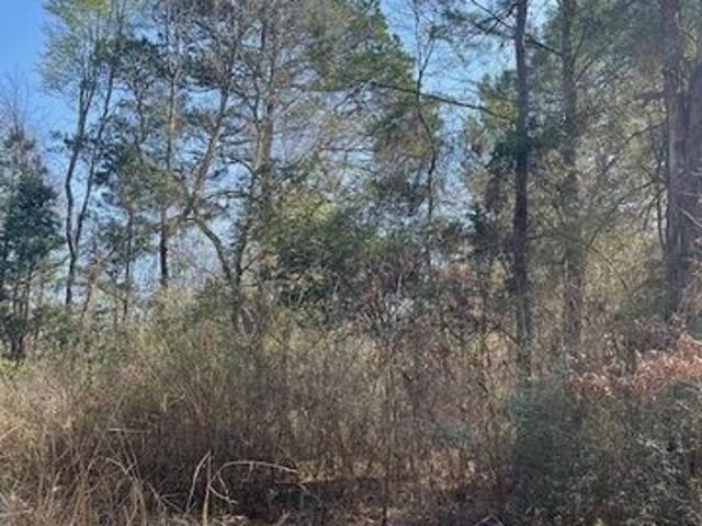 Land for sale in Texarkana, Texas