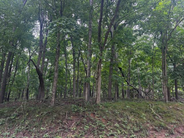 Land for sale in Marshall, Illinois