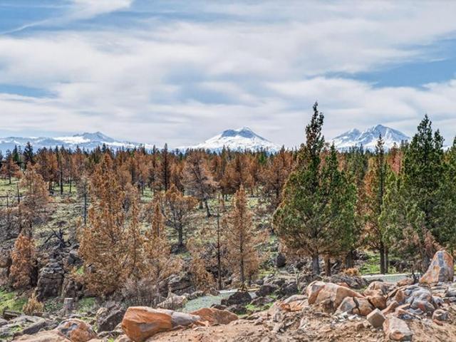 Land for sale in Oregonia