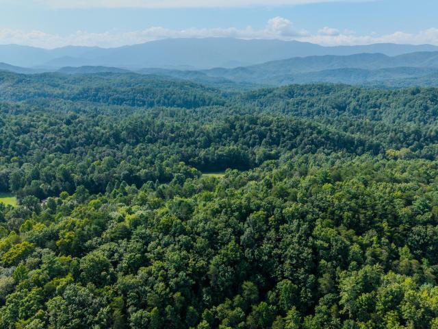 Land for sale in Tennessee