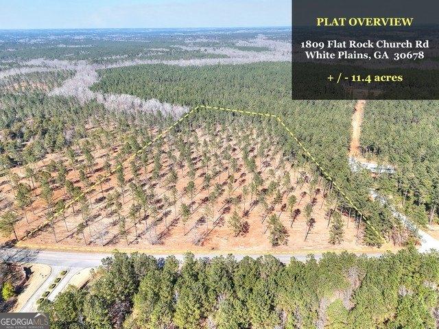 Land for sale in White Plains, Georgia
