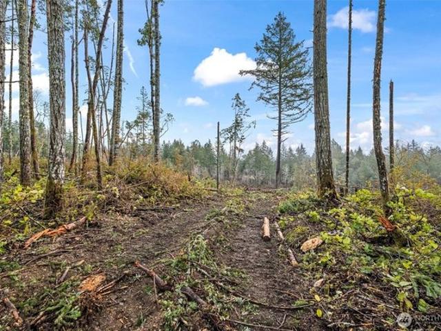Land for sale in Lakebay, Washington