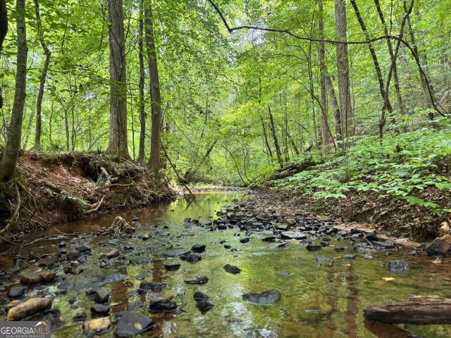 Land for sale in Hamilton, Georgia