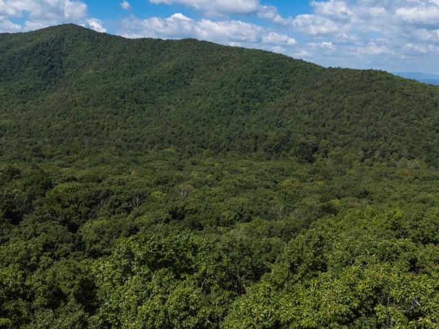 Land for sale in Virginia