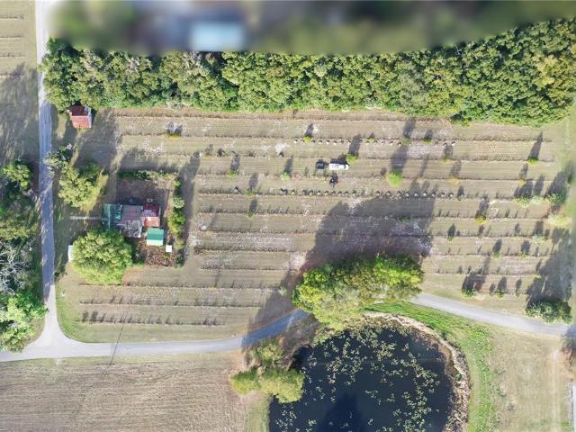 Property for sale in Pierson, Florida