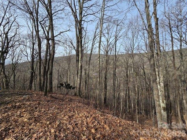 Land for sale in Haywood, North Carolina