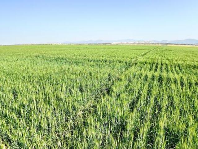 Farm for sale in Limpopo