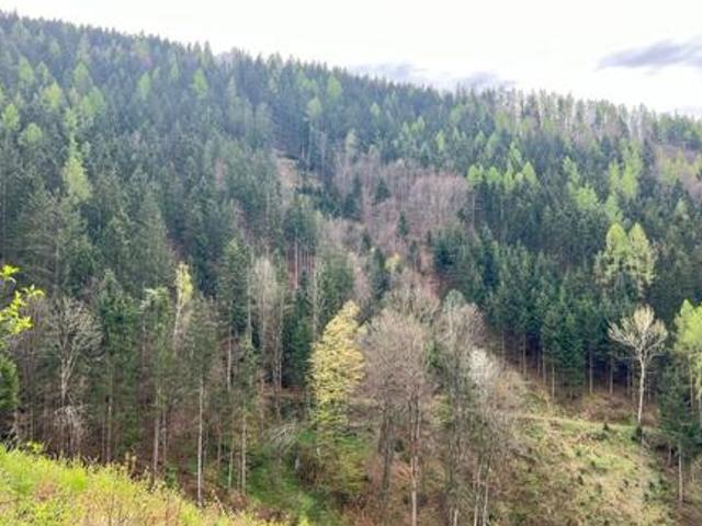 Grundstück kaufen in Gersdorf-Feistritz, Steiermark
