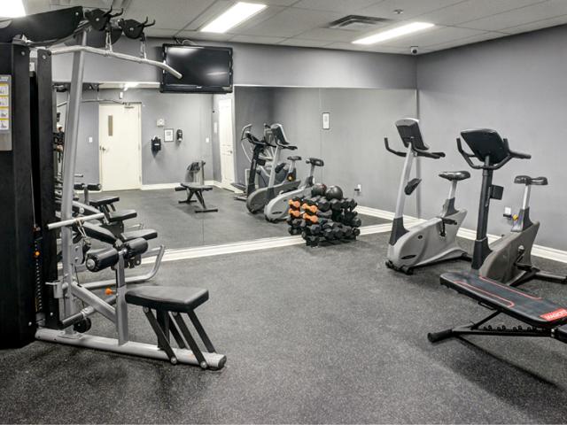 Apartment for rent in Arva, Ontario