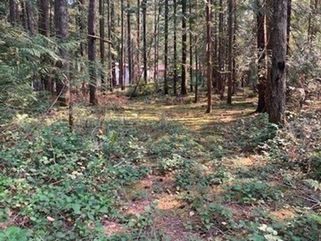 Land for sale in Hoodsport, Washington