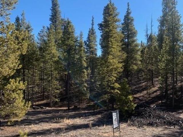 Land for sale in Leadville, Colorado