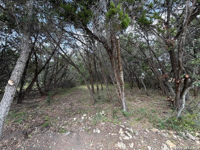 Land for sale in Bulverde, Texas