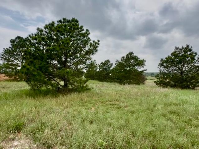 Land for sale in Wilson, Texas