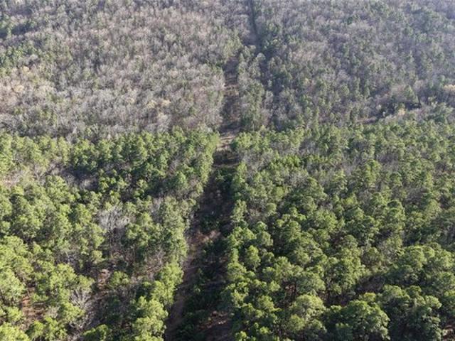 Land for sale in Wilburton, Oklahoma