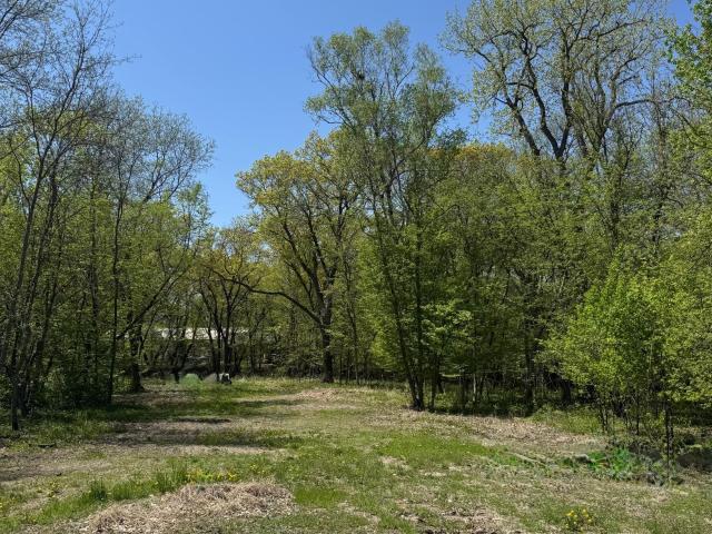 Land for sale in Sibley, Minnesota
